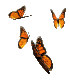Fly little butterflies