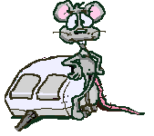 CLICK BELOW TO SEE THE LIFE OF A KAT